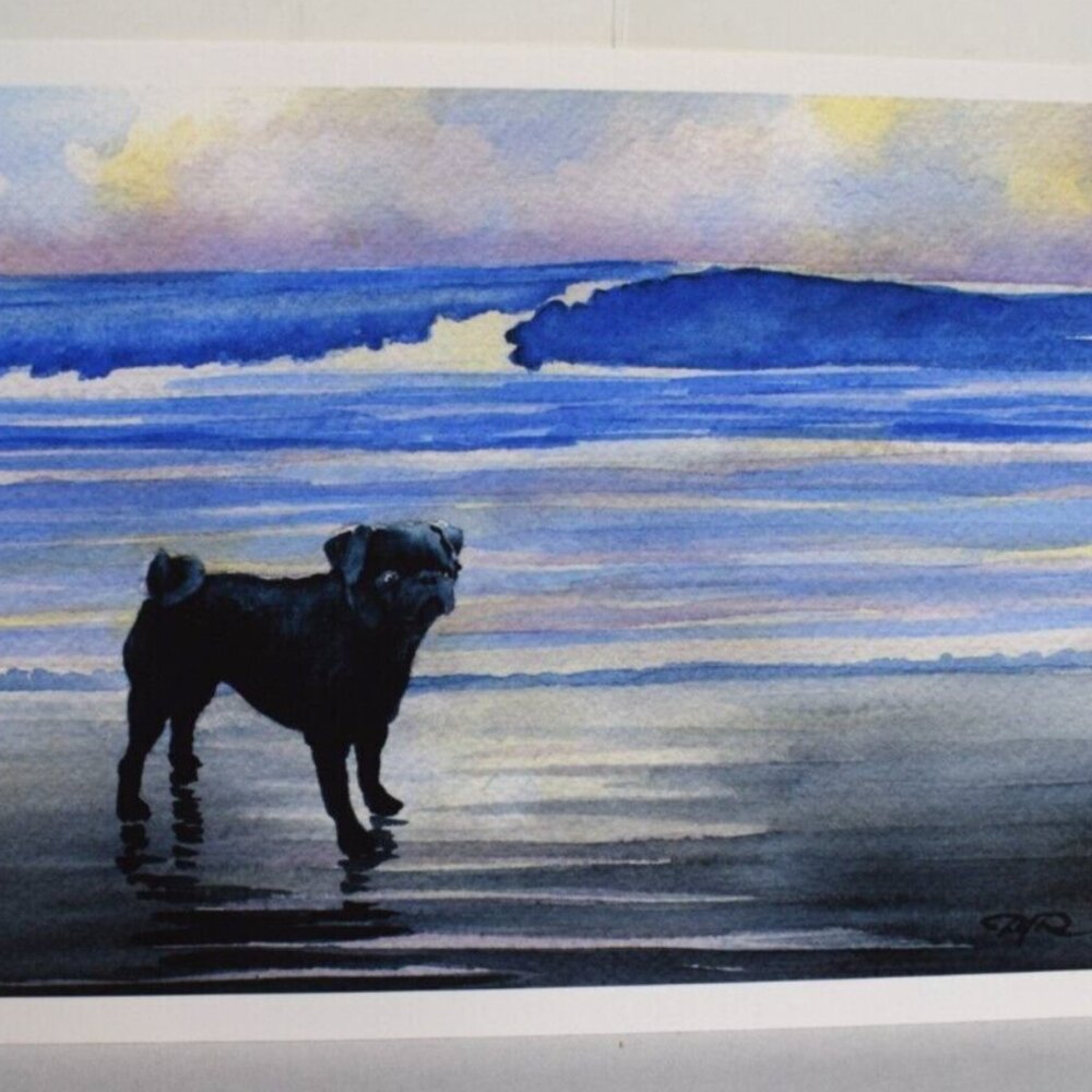 Black Pug On Beach David J Rogers Fine Art Gallery Print COA 5.5"x7.5"!